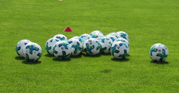 乐鱼娱乐-凯恩：拜仁锋霸，德甲金靴有力争夺者，凯恩的足球鞋